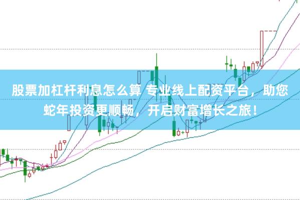 股票加杠杆利息怎么算 专业线上配资平台，助您蛇年投资更顺畅，开启财富增长之旅！