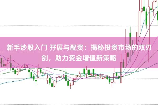 新手炒股入门 孖展与配资：揭秘投资市场的双刃剑，助力资金增值新策略