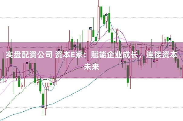 实盘配资公司 资本E家：赋能企业成长，连接资本未来