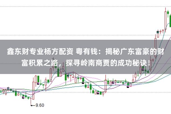 鑫东财专业杨方配资 粤有钱：揭秘广东富豪的财富积累之路，探寻岭南商贾的成功秘诀！