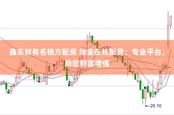 鑫东财有名杨方配资 绿金在线配资：专业平台，助您财富增值