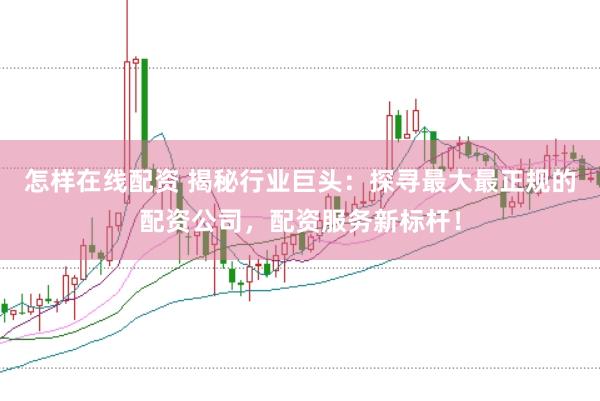 怎样在线配资 揭秘行业巨头：探寻最大最正规的配资公司，配资服务新标杆！