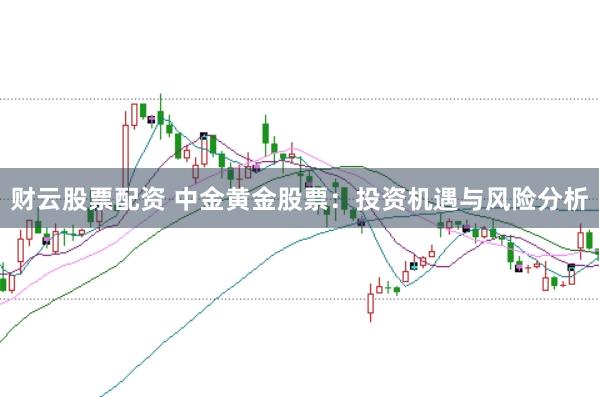 财云股票配资 中金黄金股票：投资机遇与风险分析