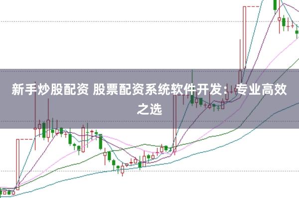 新手炒股配资 股票配资系统软件开发：专业高效之选