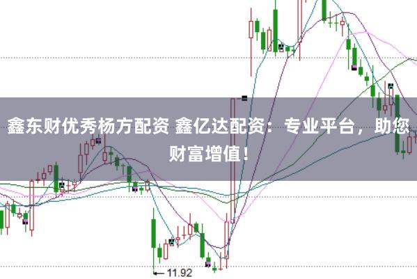鑫东财优秀杨方配资 鑫亿达配资：专业平台，助您财富增值！