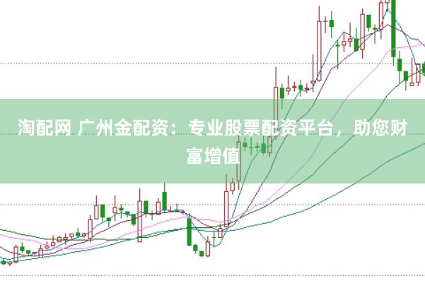 淘配网 广州金配资：专业股票配资平台，助您财富增值
