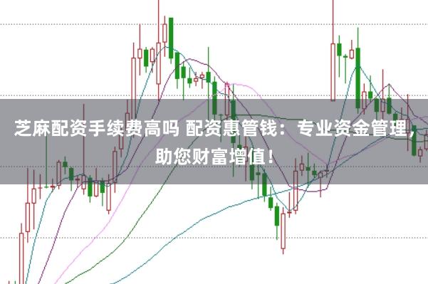 芝麻配资手续费高吗 配资惠管钱：专业资金管理，助您财富增值！