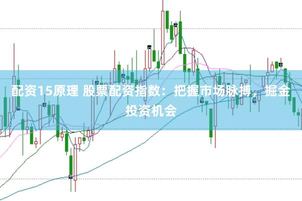 配资15原理 股票配资指数：把握市场脉搏，掘金投资机会