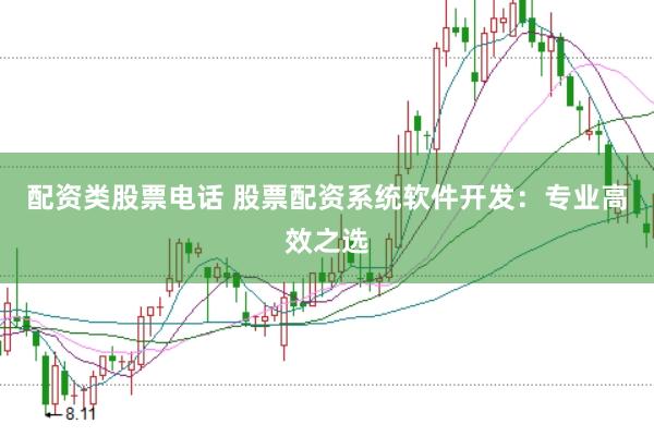 配资类股票电话 股票配资系统软件开发：专业高效之选