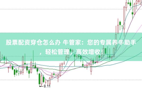 股票配资穿仓怎么办 牛管家：您的专属养牛助手，轻松管理，高效增收！