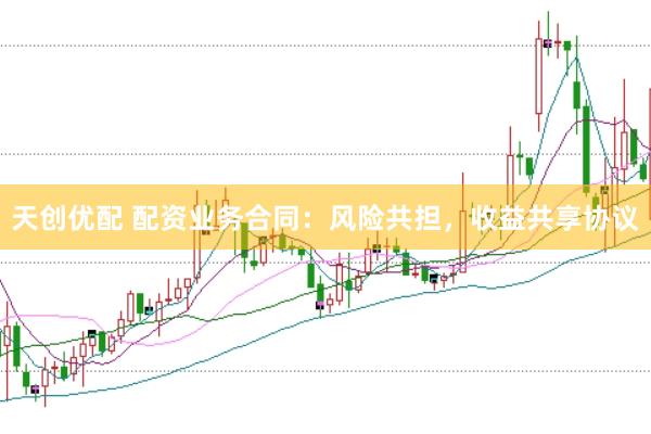 天创优配 配资业务合同：风险共担，收益共享协议