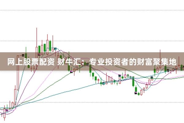 网上股票配资 财牛汇：专业投资者的财富聚集地