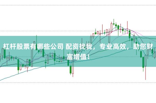 杠杆股票有哪些公司 配资找我，专业高效，助您财富增值！