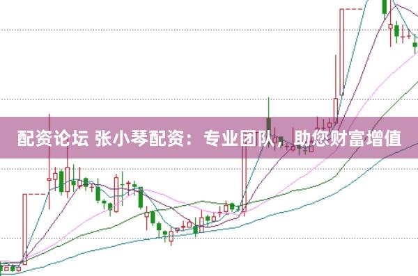 配资论坛 张小琴配资：专业团队，助您财富增值