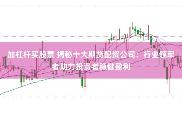 加杠杆买股票 揭秘十大期货配资公司：行业领军者助力投资者稳健盈利