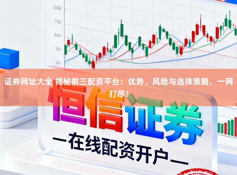 证券网址大全 揭秘前三配资平台：优势、风险与选择策略，一网打尽！